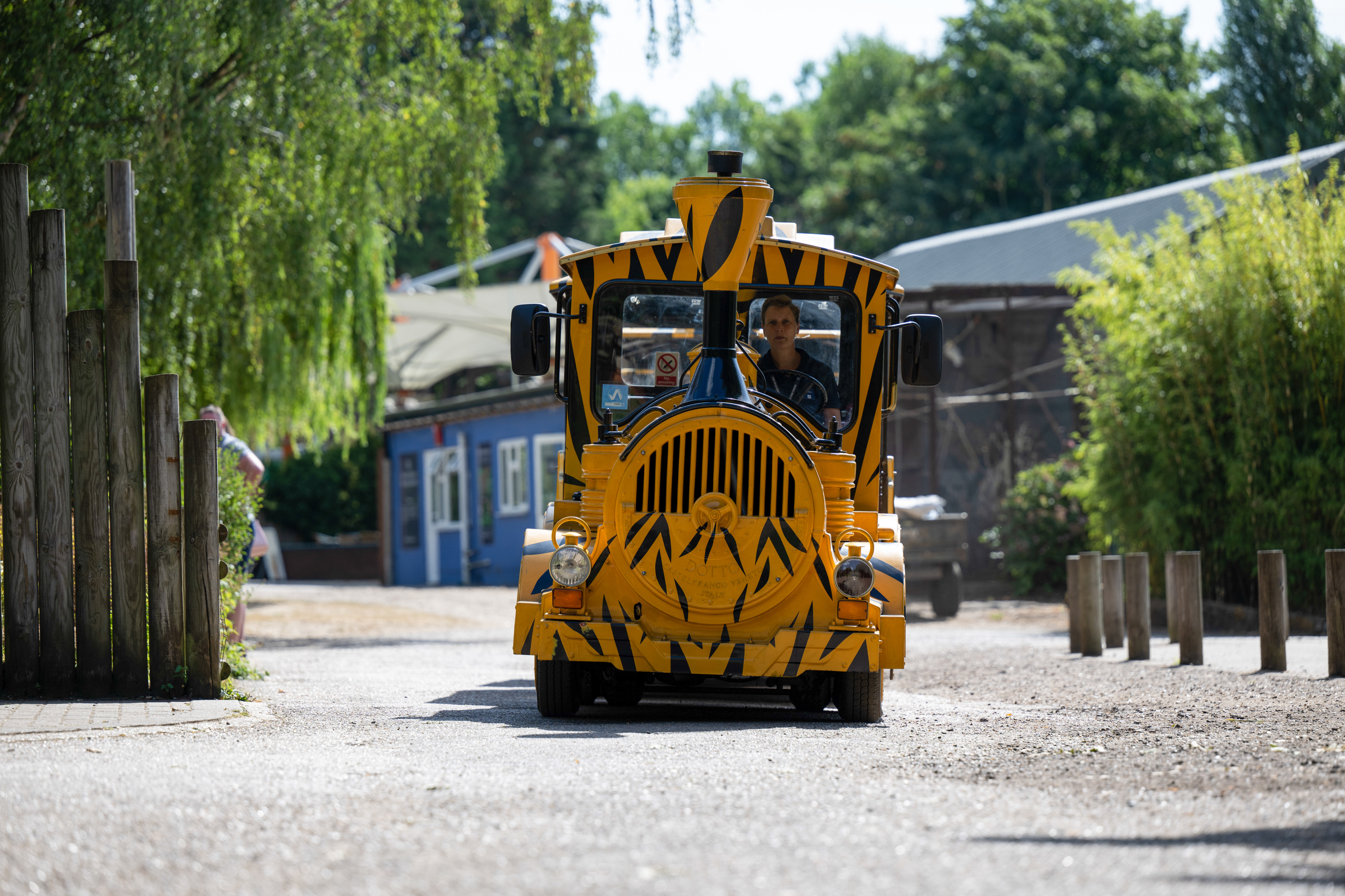 Discover Banham Zoo | Everything it has to offer at a discount price