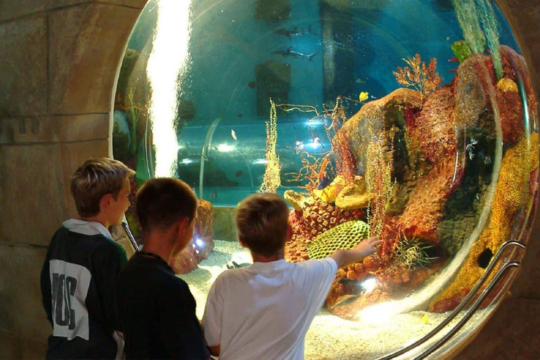 kids at blue reef aquarium hastings