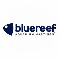 blue reef aquarium hastings logo