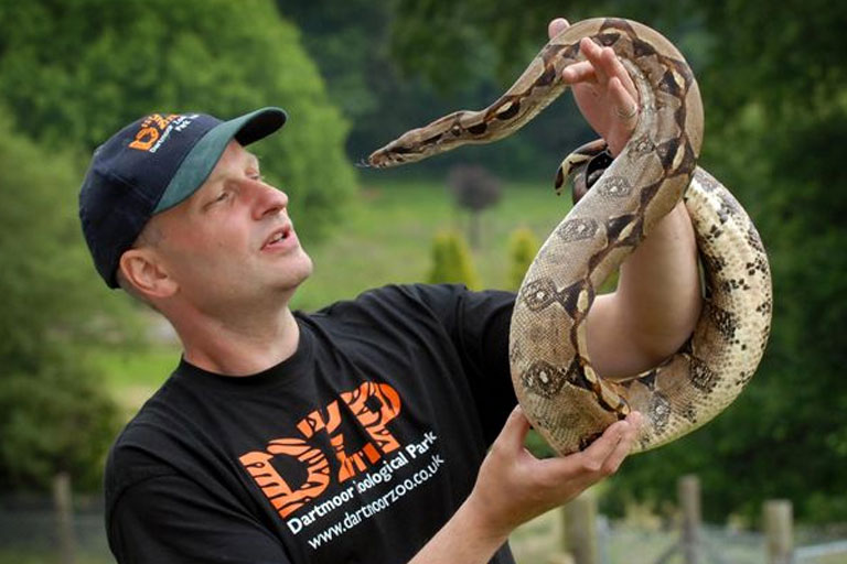 dartmoor zoo snake