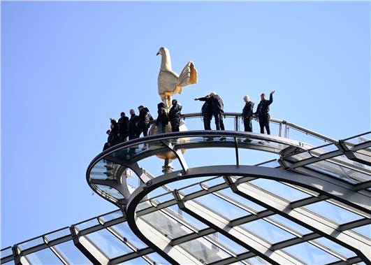 Tottenham Hotspur Stadium The Dare Skywalk