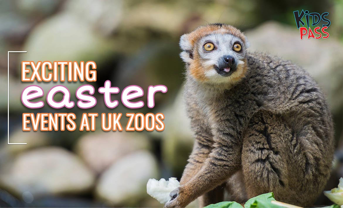 Exciting Easter Events at UK Zoos Near You header image