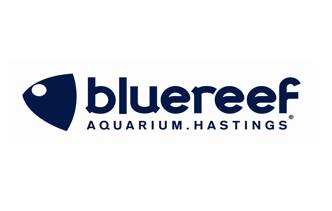 New Attraction Bluereef Aquarium header image