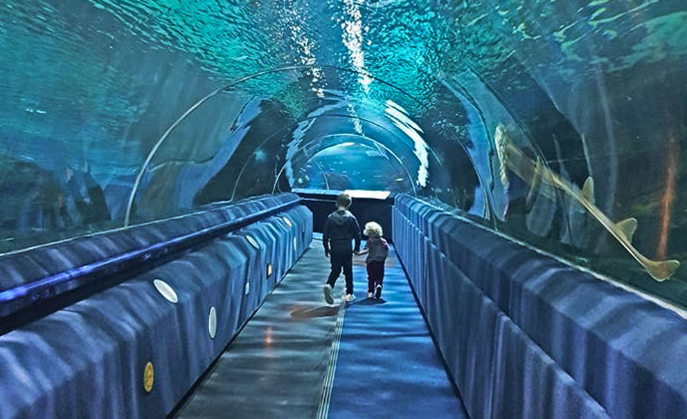 tunnel at blue planet aquarium