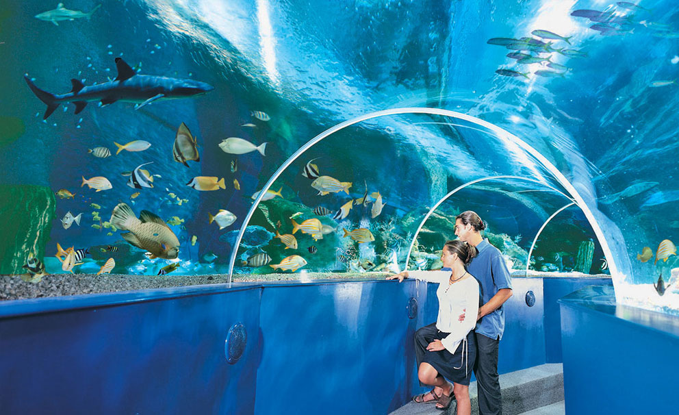 young couple at aquarium