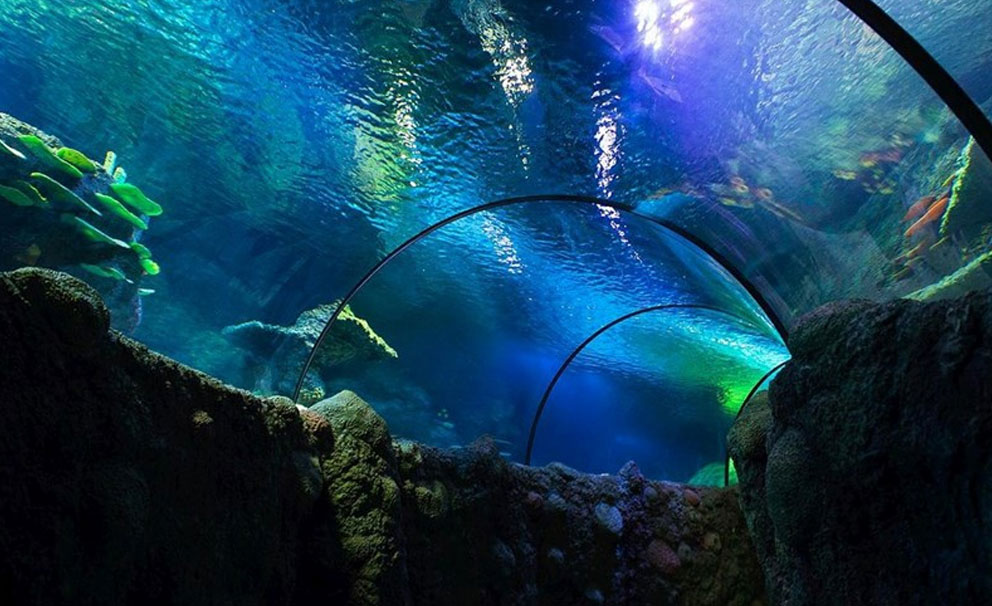 underwater aquarium