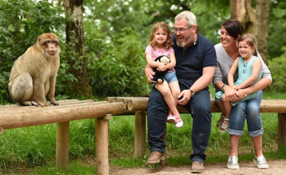 trentham monkey forest family