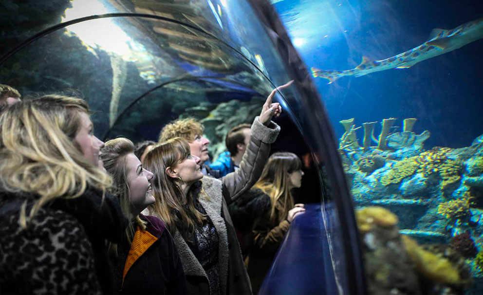 visitors at bristol aquarium