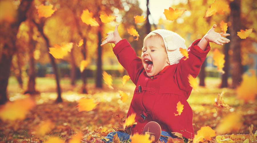 UK&#39;s Top Autumn Activities for all ages header image