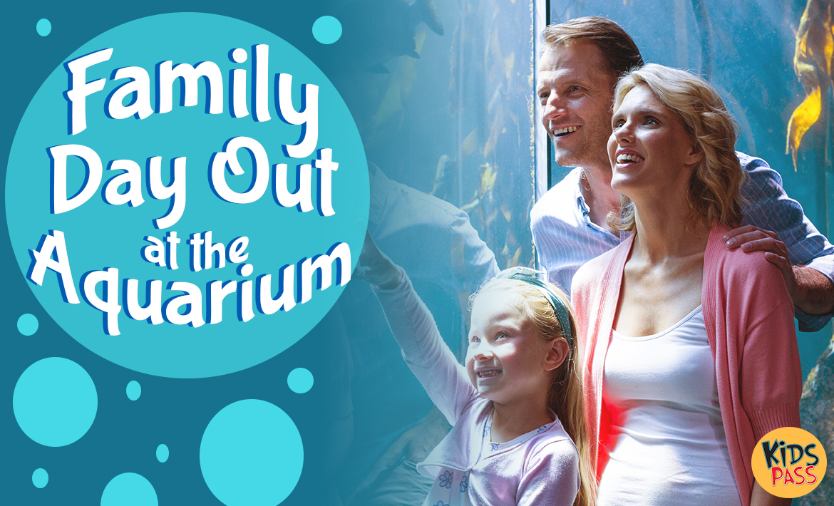 A Family Day Out at the Aquarium header image
