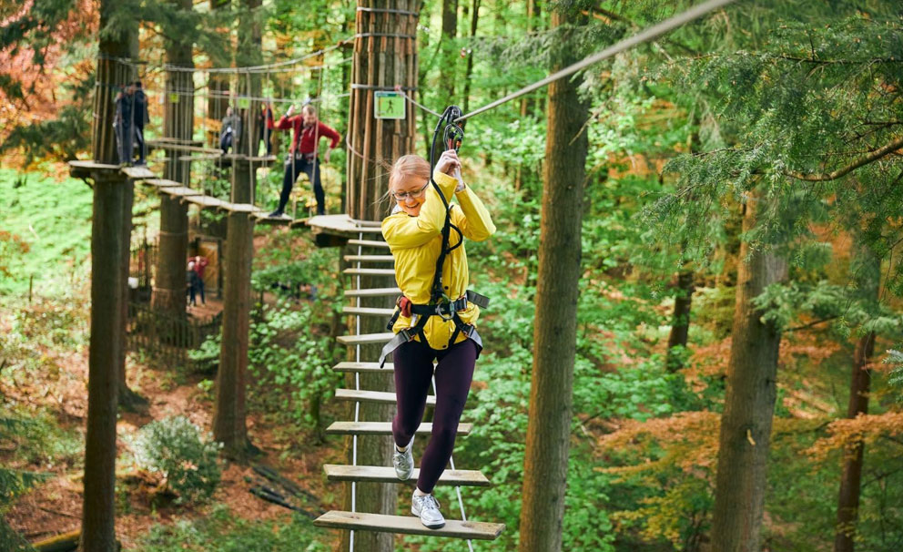 go ape high rope walk