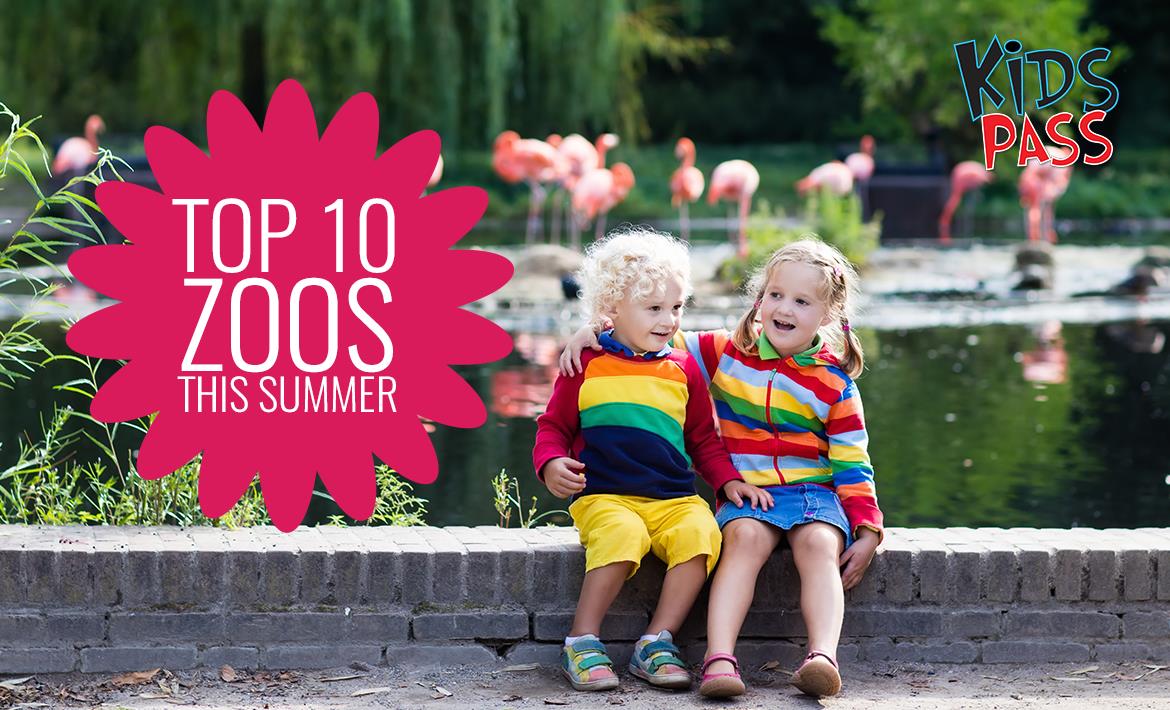Top 10 Zoos this Summer header image