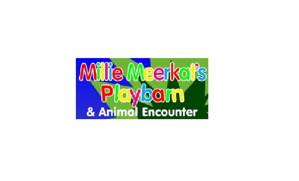 New Attraction - Free Entry at Millie Meerkat&#39;s Playbarn header image