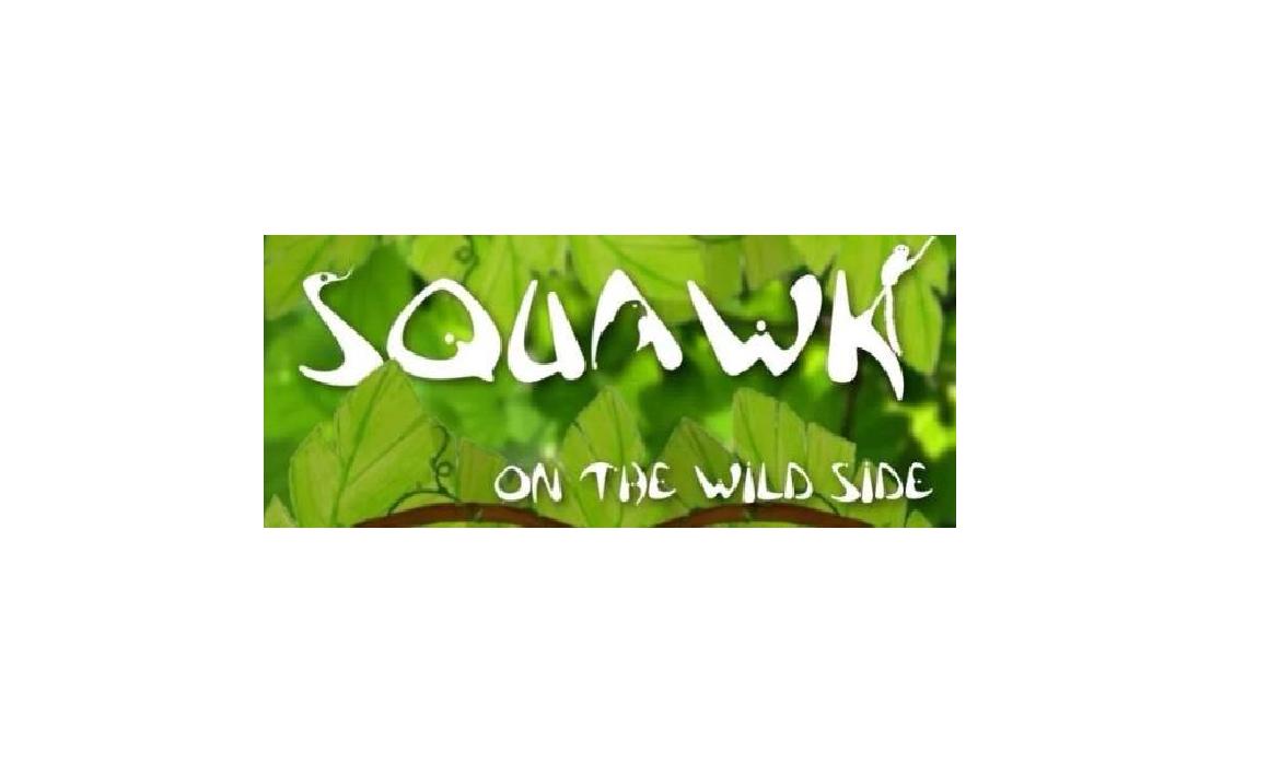 Discounted entry at Squark on the Wild Side! header image